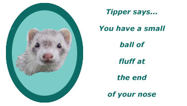 Tipper Says...You have a small ball of fluff at the end of your nose