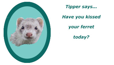 Tipper Says...Have you kissed your ferret today?
