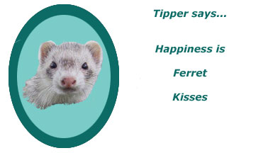 Tipper Says...Happiness is Ferret Kisses